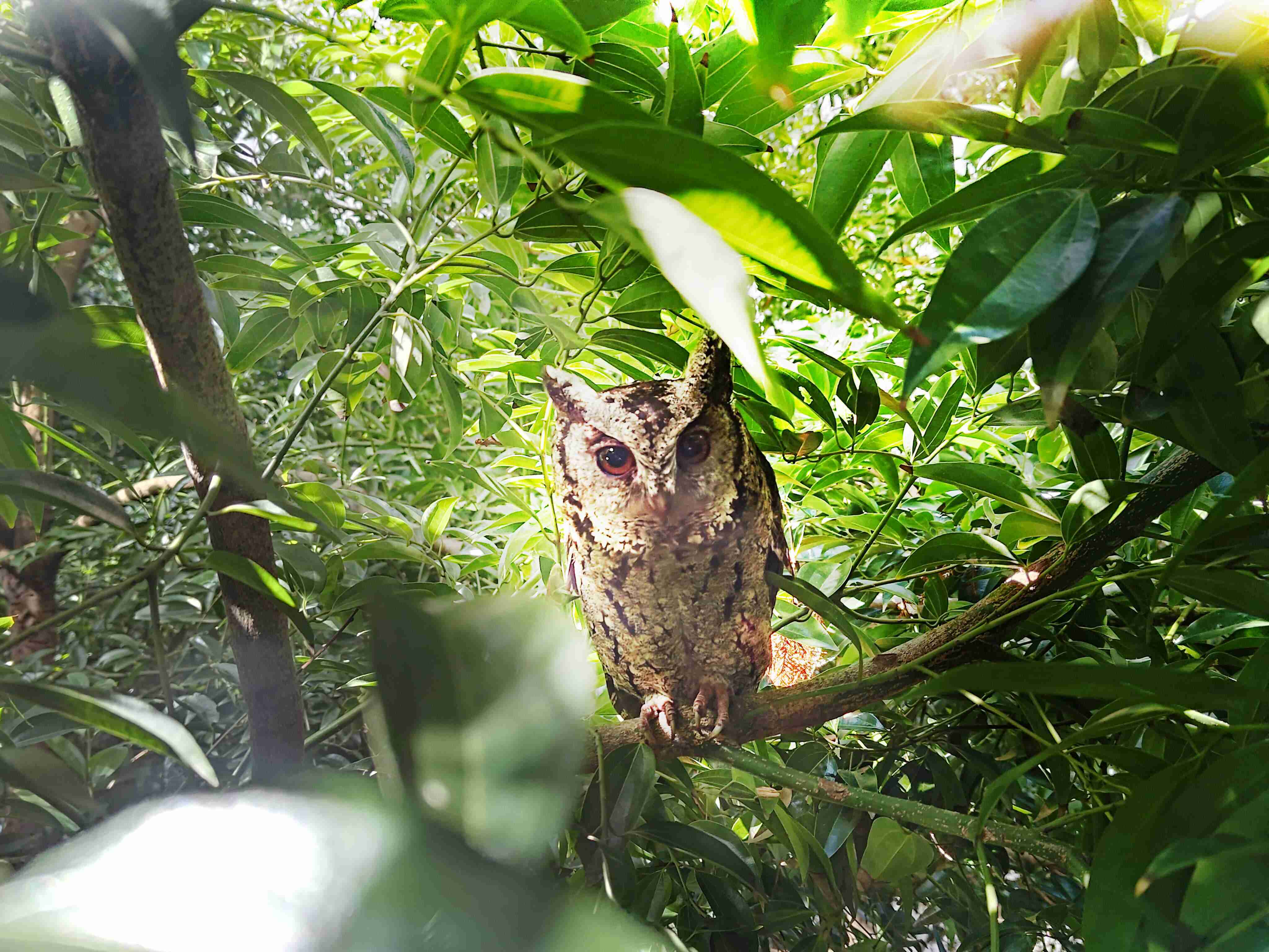 人生就是博致力提倡净零绿生活，，，16年以来在全球各厂区植树逾百万棵，，，造就各厂区树木蔚然成林，，，，犹如森林工厂，，，，成为许多生物的栖息地